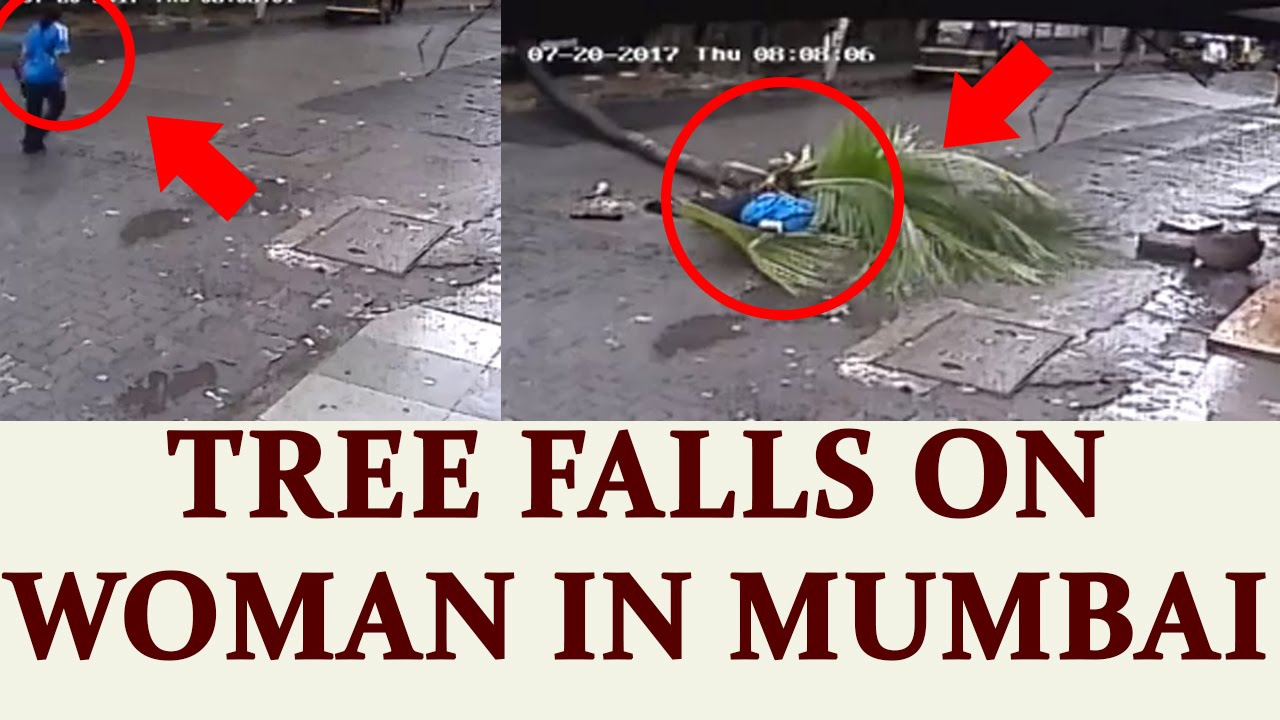 Mumbai woman knocked down by coconut tree , Watch Video | Oneindia News