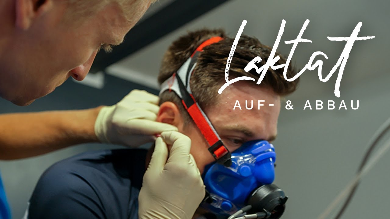 Laktat - Aufbau und Abbau im Training und Wettkampf