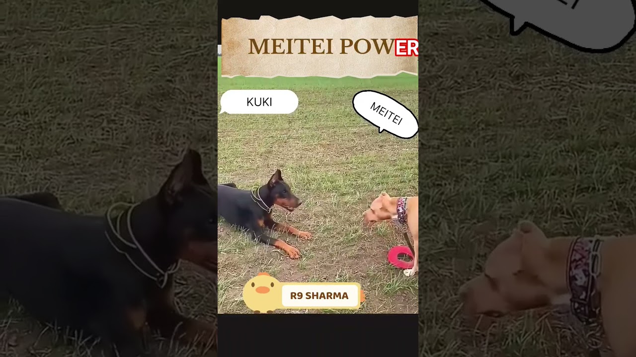 Chumbro Mayam | Meitei Vs Kuki | #manipur #r9sharma #shortsvideo #meitei #power #fighting #shorts