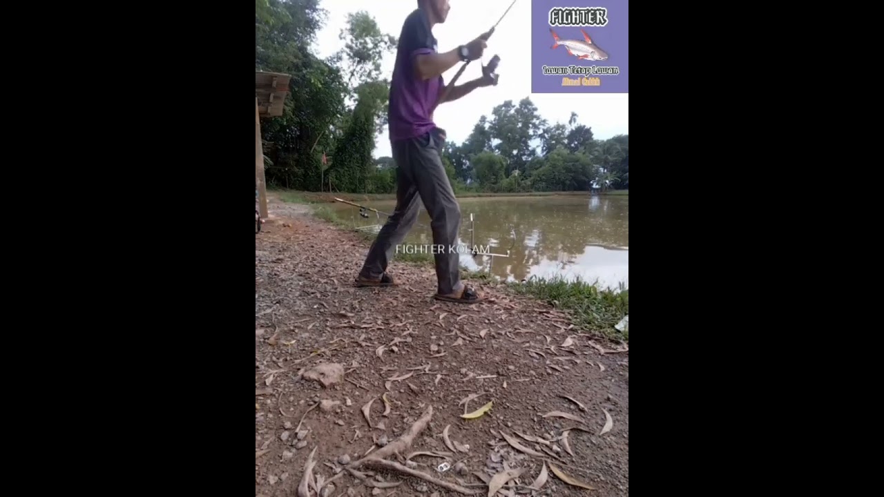 FIGHTER KOLAM(pacak!!!)