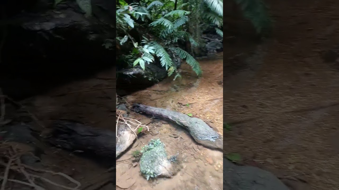 Suasana di sungai airnya jernih pemandangan nya  indah yang luar biasa kuasa Tuhan 