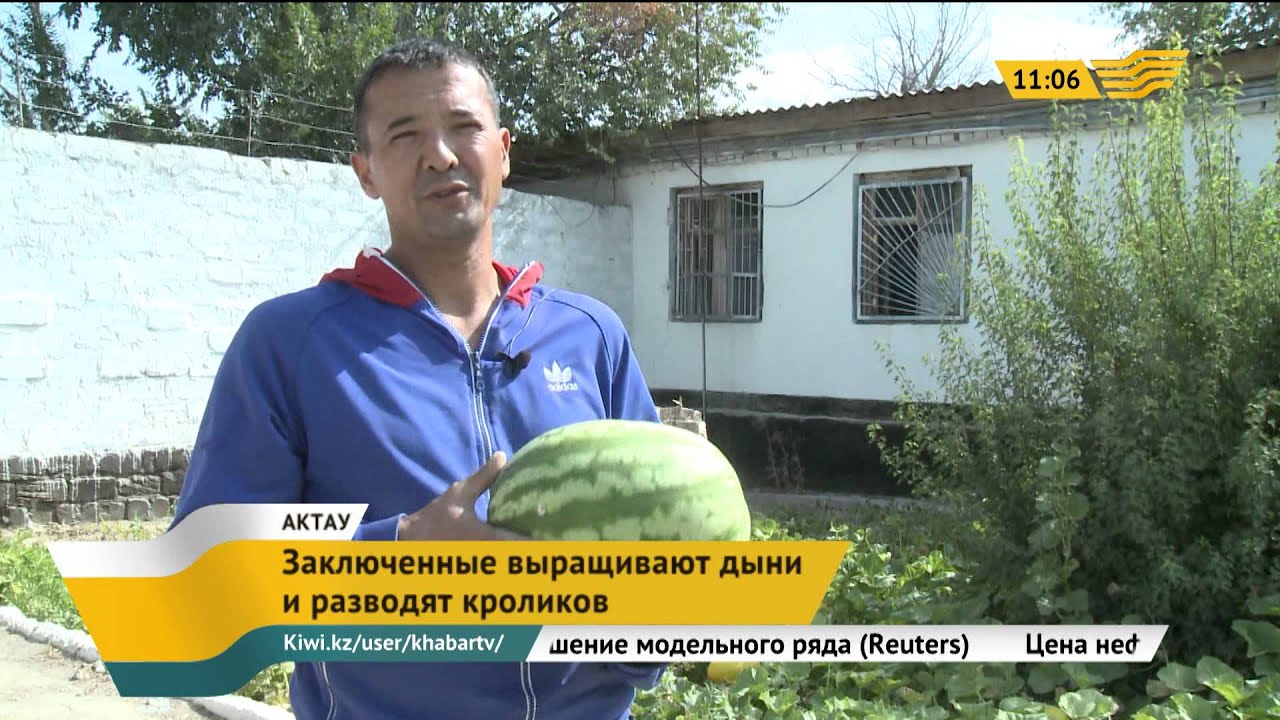 Выпуск новостей 11.00 от 07.08.2015