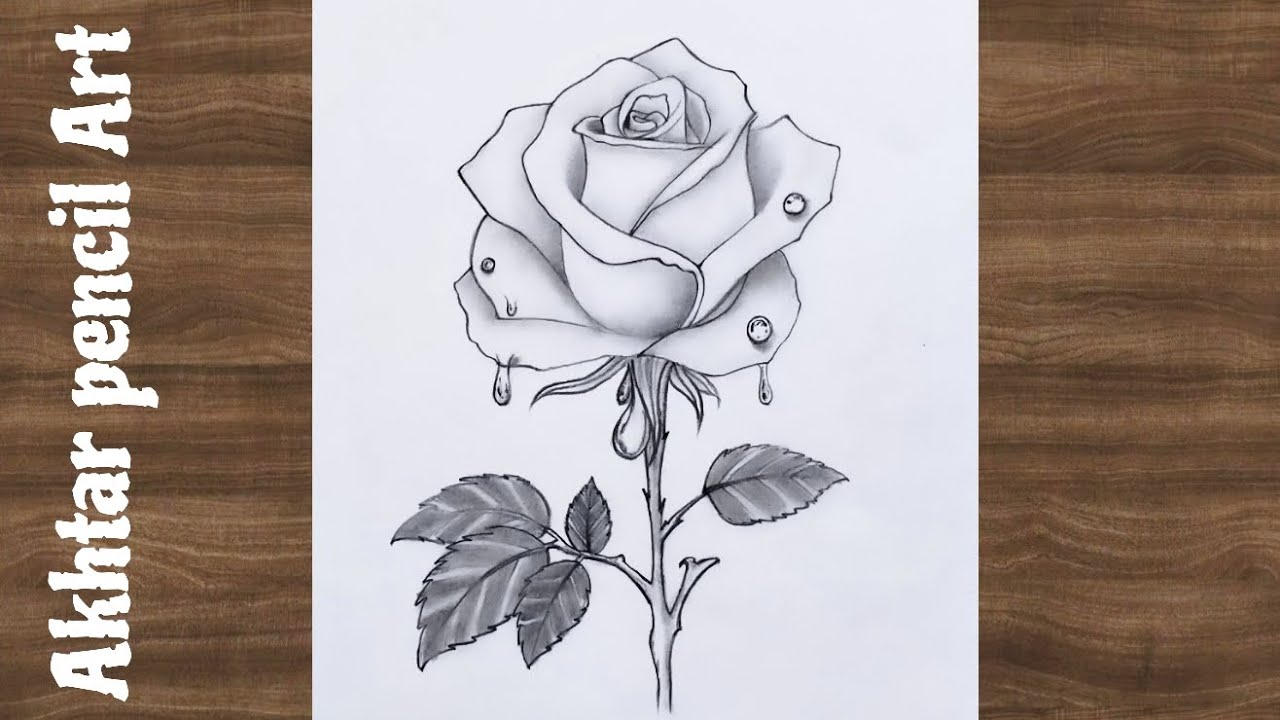 Beautiful Rose Drawing Easy , How To Draw Rose , Gulab Drawing Tutorial , Flower Drawing Easy 
