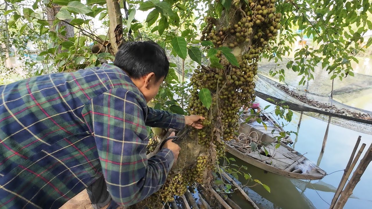 Ngày Cha Vào BẾP Làm Món Cá 
