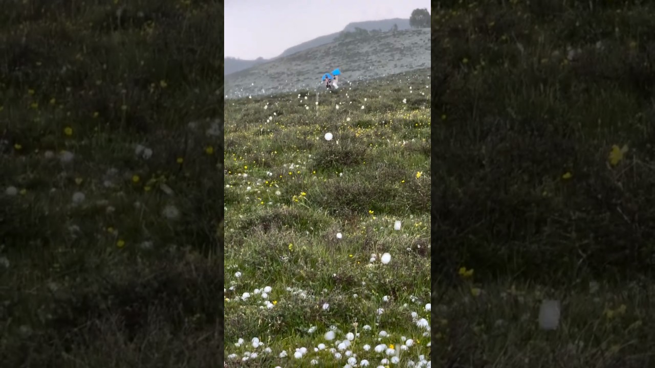 Unnatural hailstorm is a rare sight in the world, that viral video.