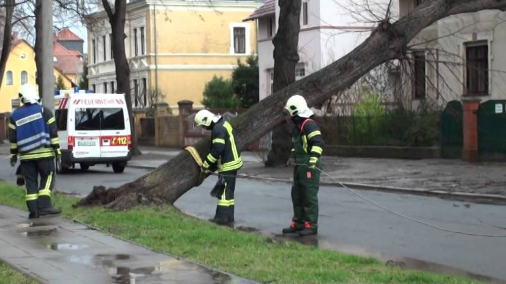 FF Quedlinburg  -  Sturmschaden   Lindenstraße   31 03 2015