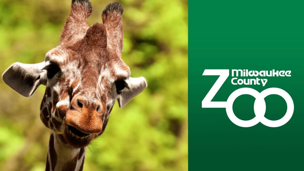 Milwaukee County Zoo Full Tour - Walking Zoo Tour - Zoo Animals - Milwaukee Wisconsin Zoo
