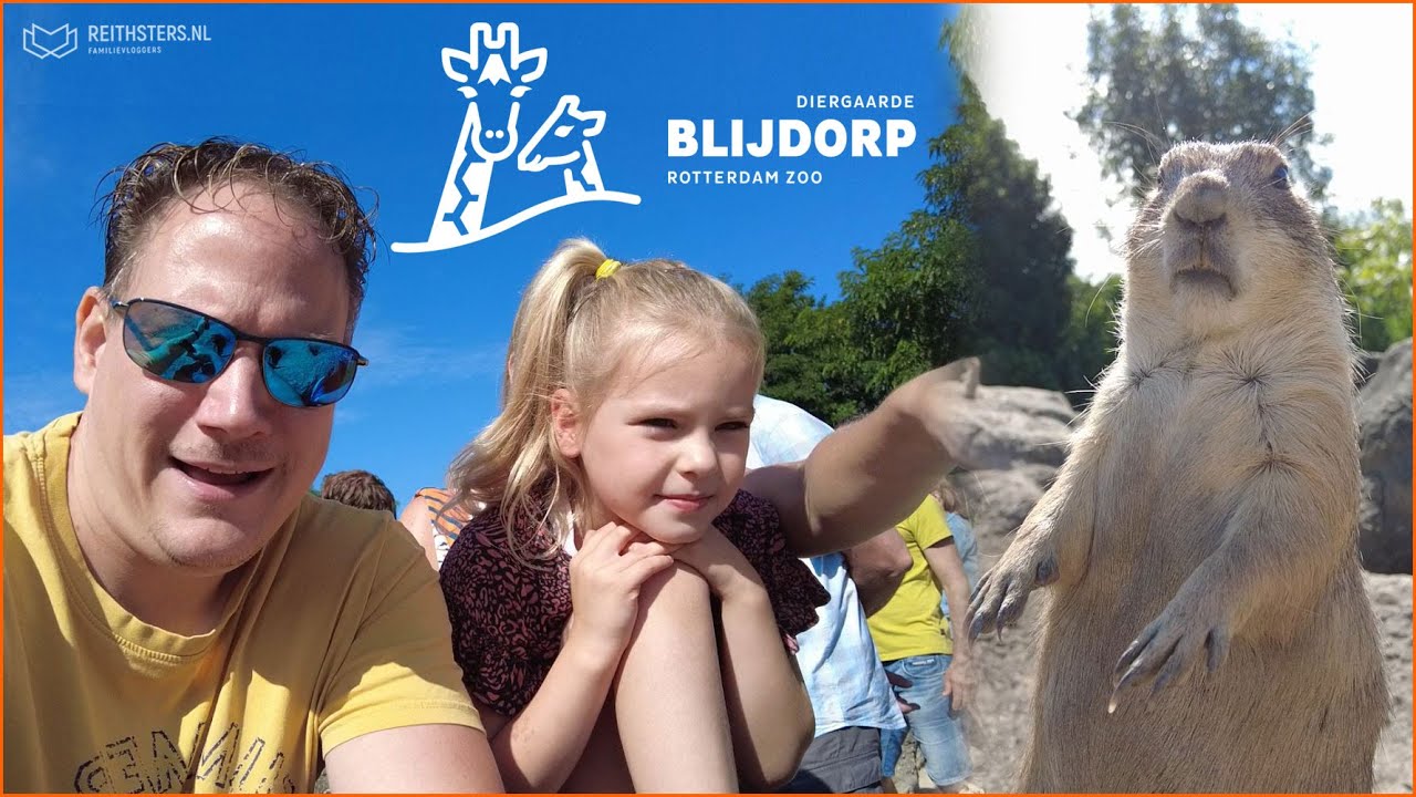 WIJ BEZOEKEN DIERGAARDE BLIJDORP! - VLOG #288