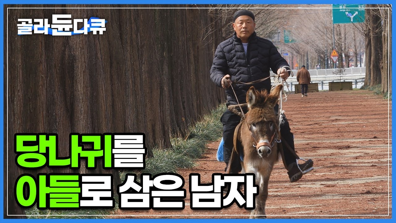 어머니 집에서 당나귀 먹이 털어가는 남자! 어머니 먹을 과일도 없는데 자꾸 달라한다!