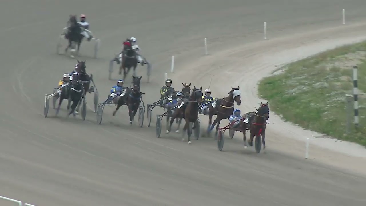 Napoli Trotto 06/03/2026 - 6ª corsa