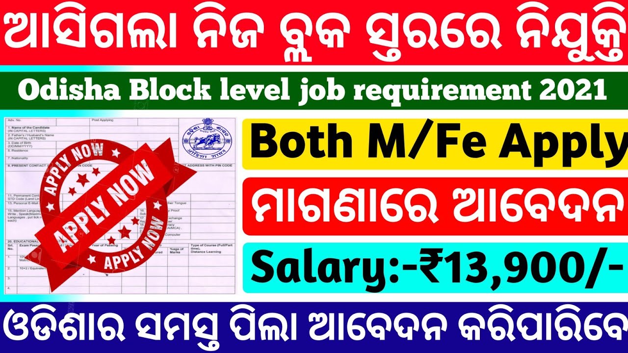 Odisha Block level Job 2021|Odisha Govt Jobs 2021|Odisha job alert 2021|Odisha nijukti khabar 2021