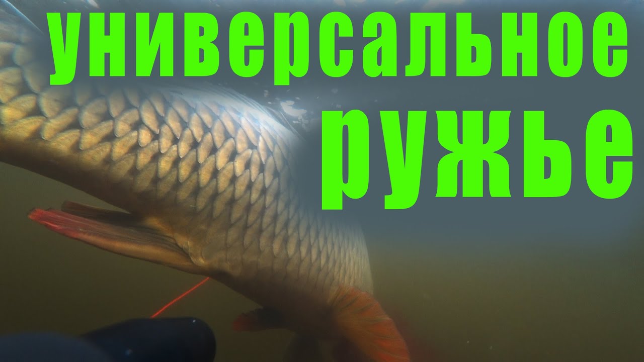 ТЕСТ НОВОГО РУЖЬЯ Salvimar Predathor Vuoto 55!!! ВСЕ МИНУСЫ И ПЛЮСЫ!!!