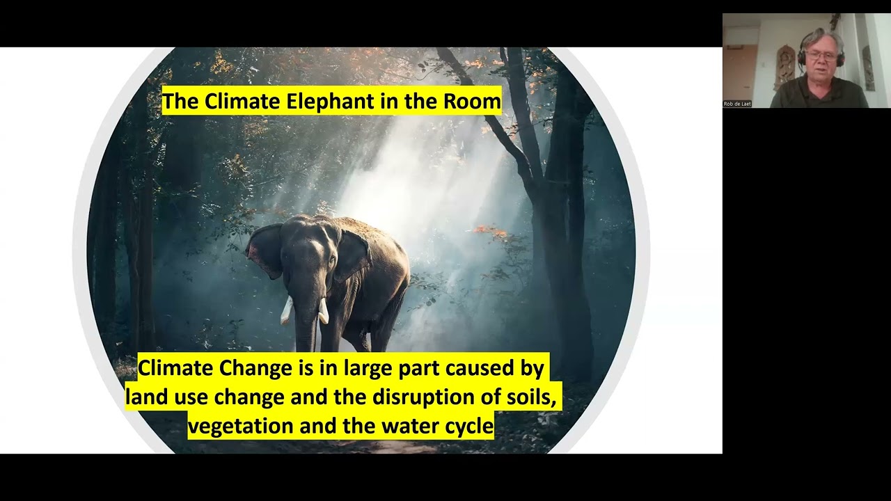 Cooling the Climate