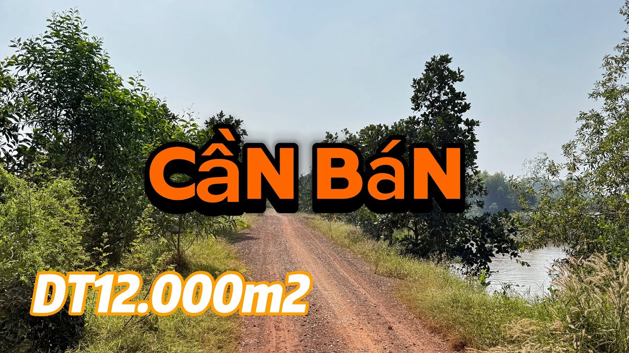 Cần bán DT12.000m2 đất giá 130 triệu 1 công đất