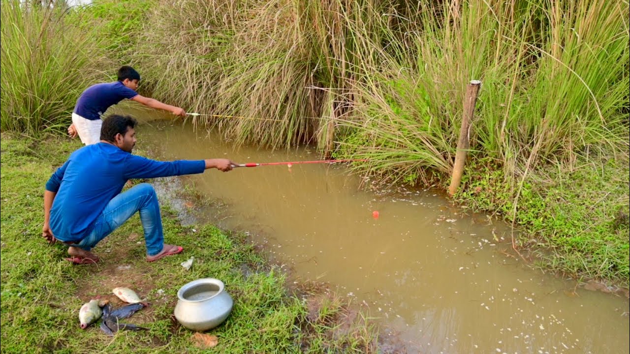 Fishing video🐠🐬|| Applying this method will make fishing in the village canal very easy || Hook Trap