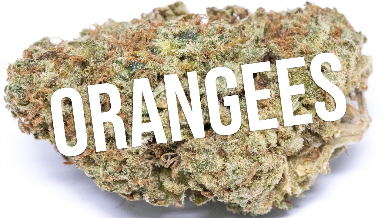 Orangees review!