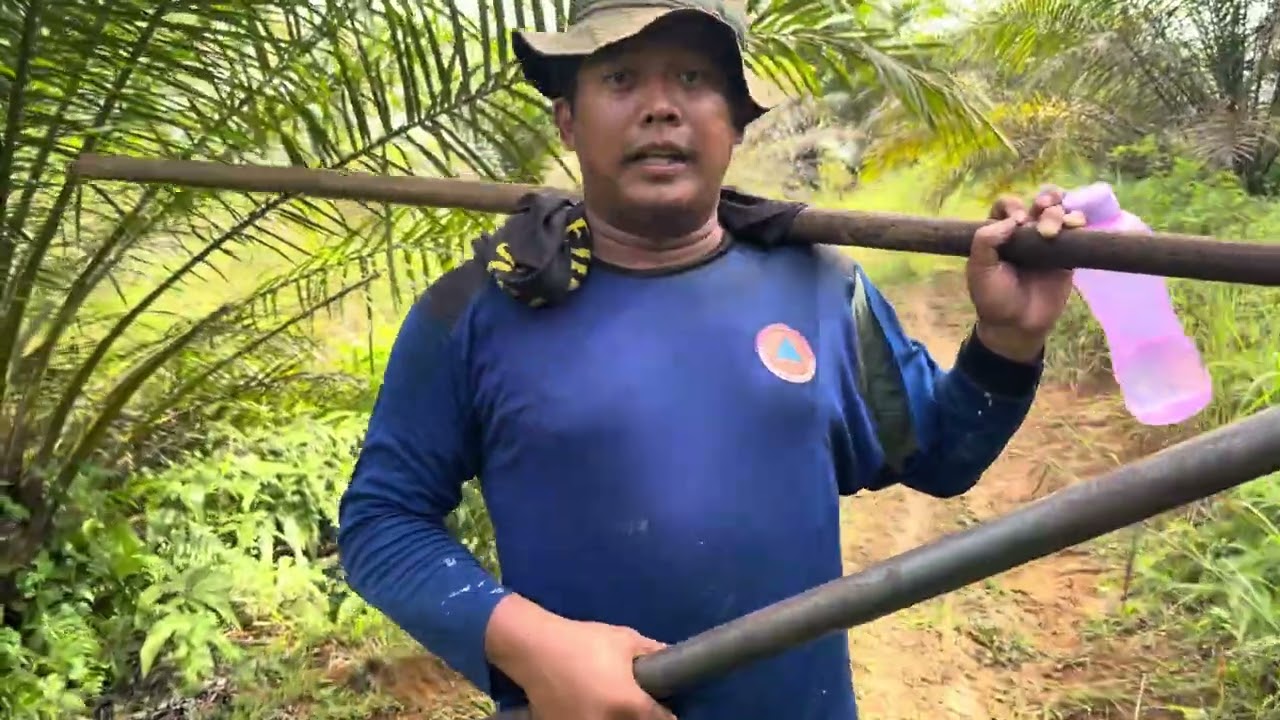 Kerjananku yo sembarang,pruning sawet cilik