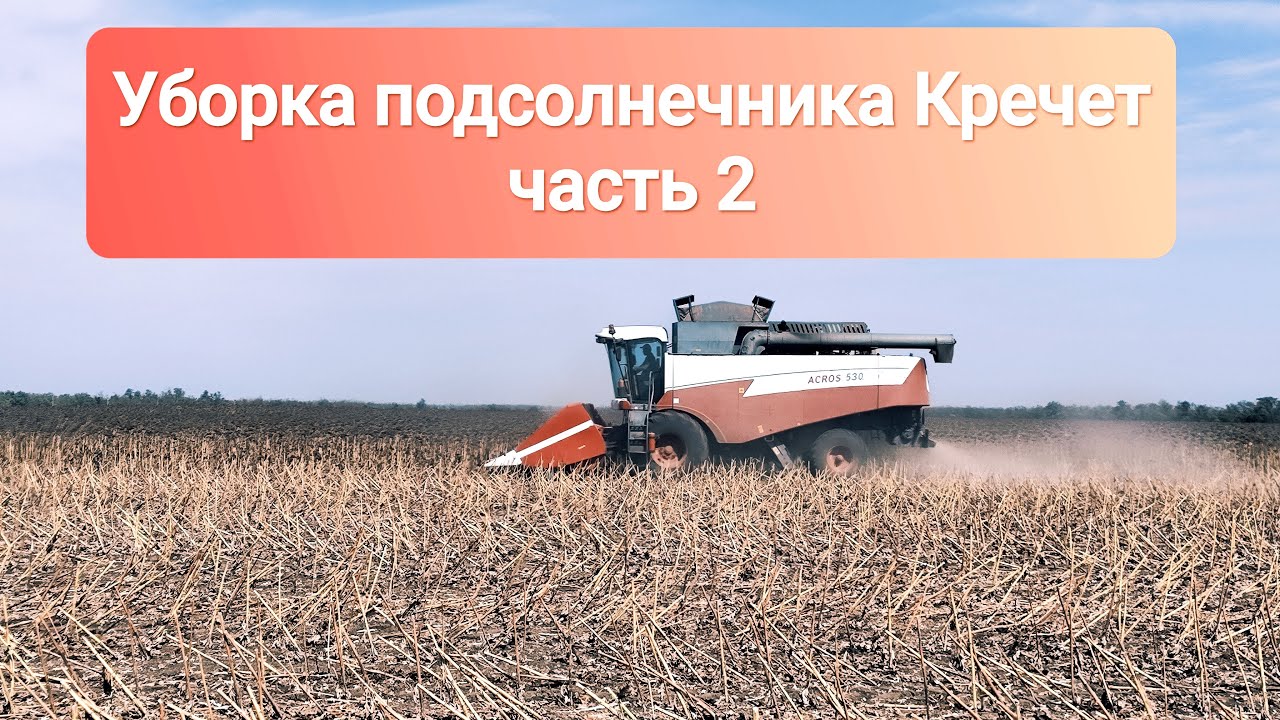 Уборка подсолнечника Кречет | Часть 2 | 13/09/2024