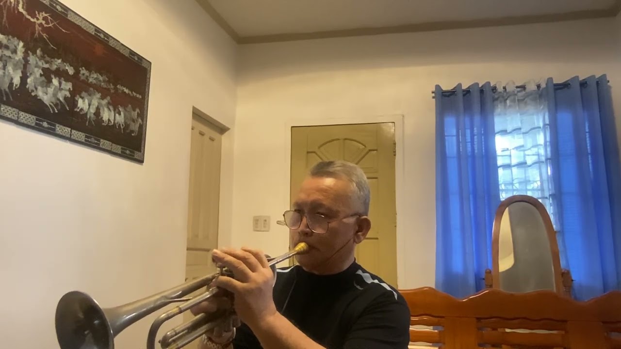 RISE  - Herb Alpert  (Trumpet) cover