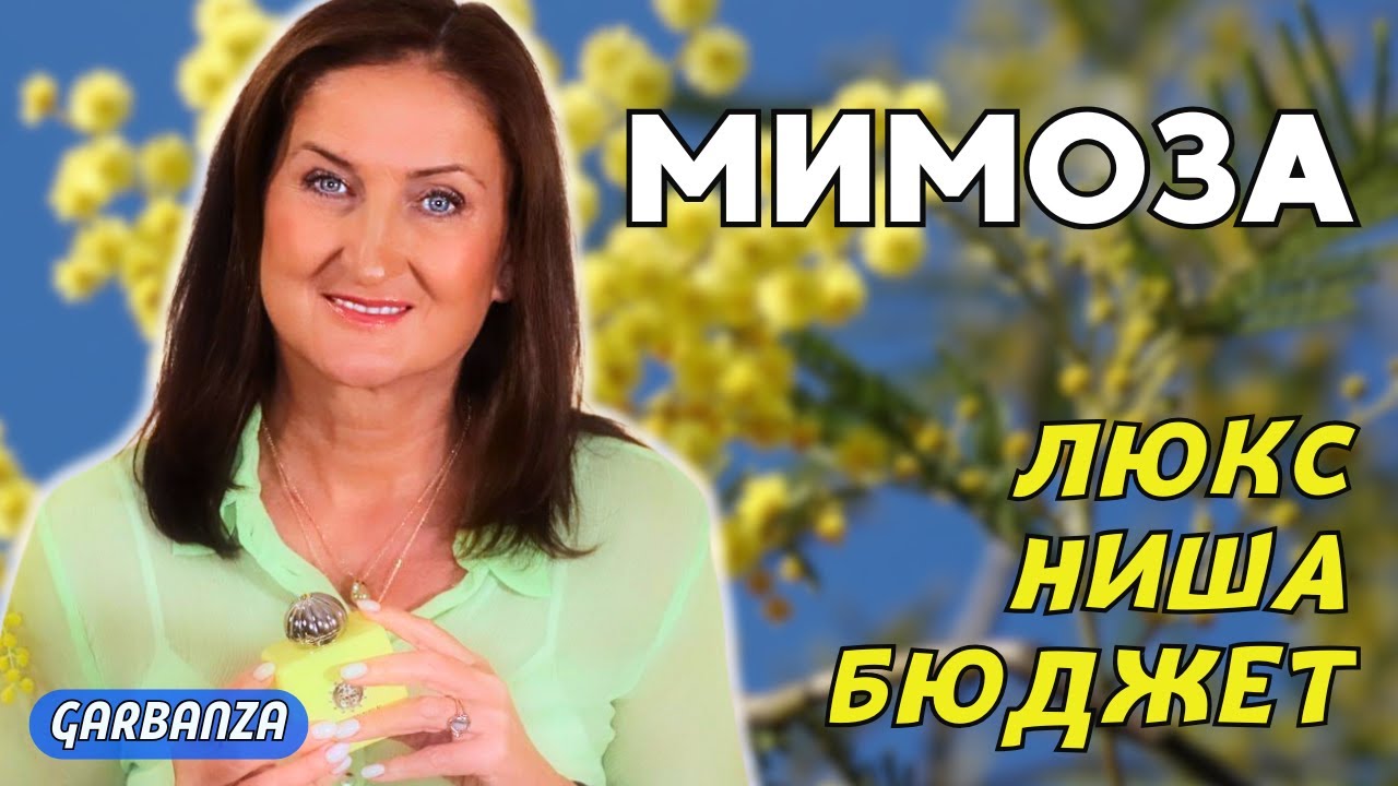 Лучшие ароматы с мимозой  Топ 7 💛