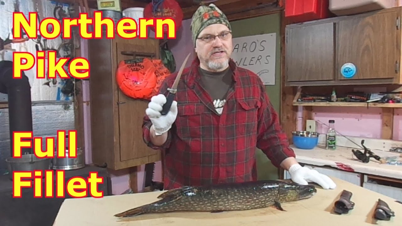 Cleaning A Northern Pike (Boneless) - Full Fillet Method