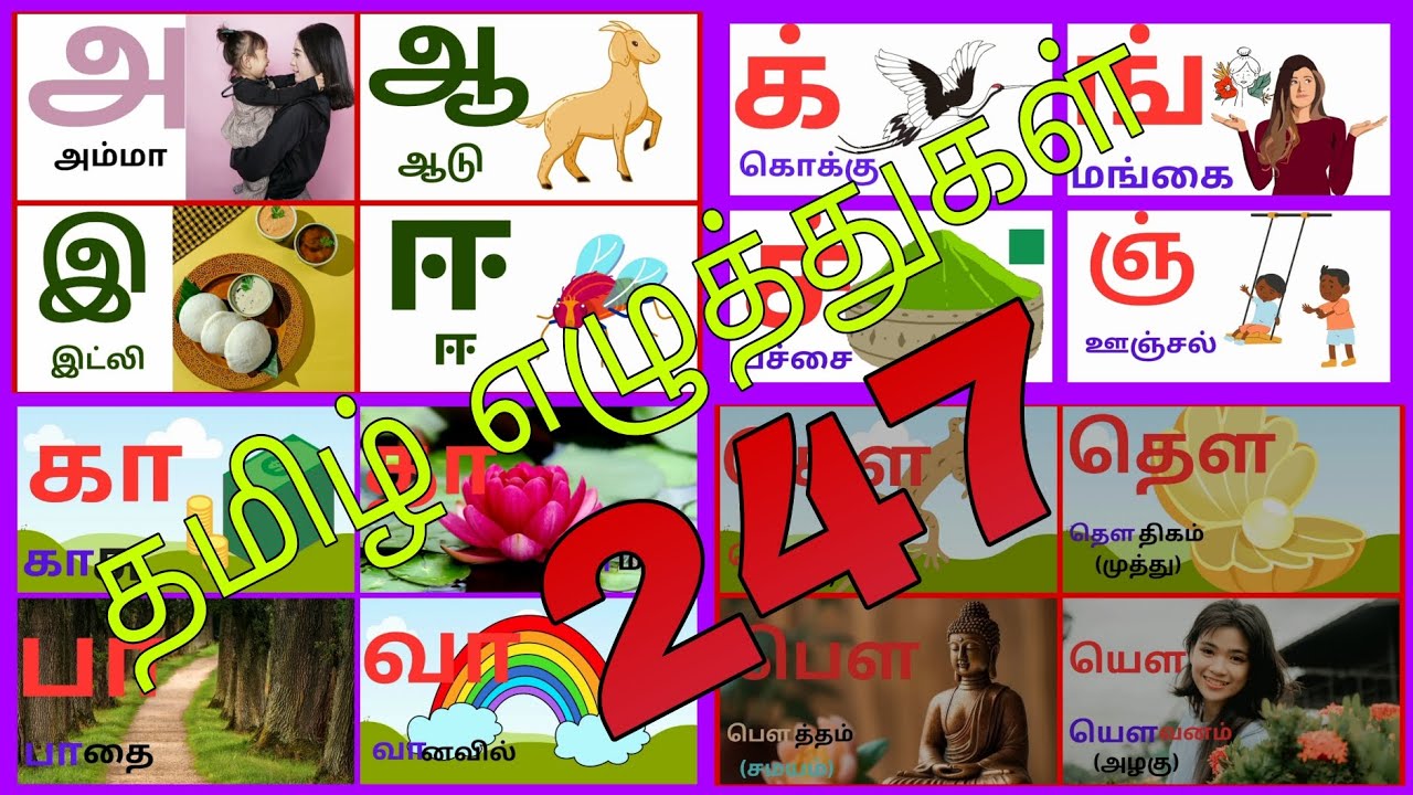 Tamil Ezhuthukal 247/Learn Tamil alphabets pronunciation (247)with pictures #Tamil #alphabet