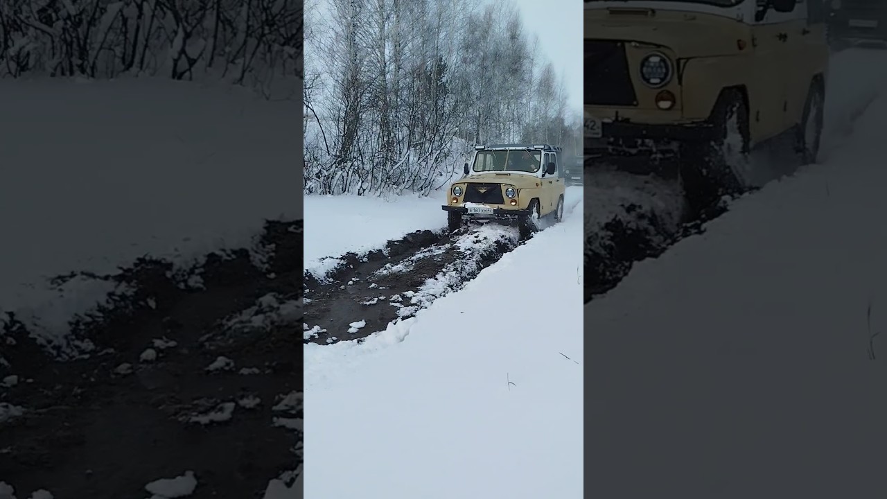Первый зимний выезд Уаз 469 #уаз #тайга #полныйпривод #4х4 #offroad #сибирь #лес #дорога #пасека