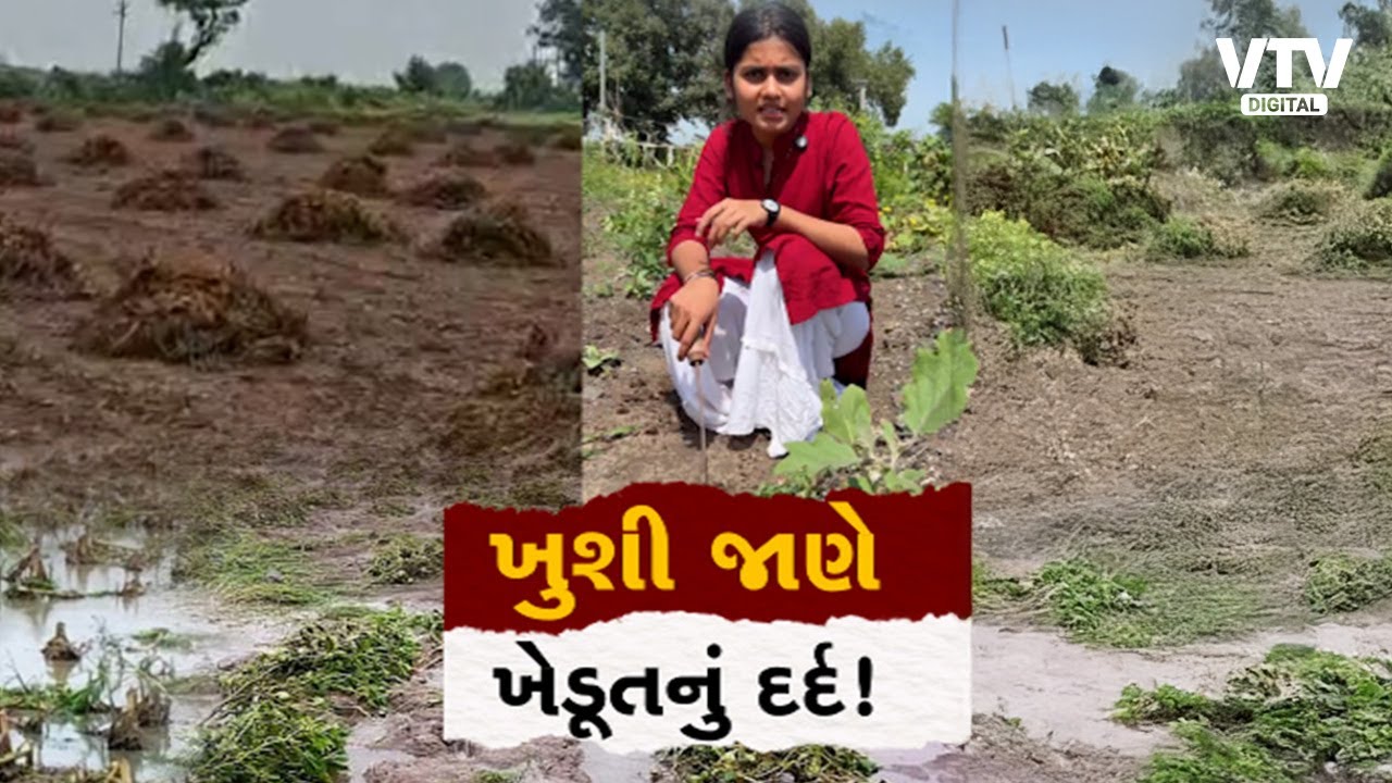 માવઠાનો માર, 