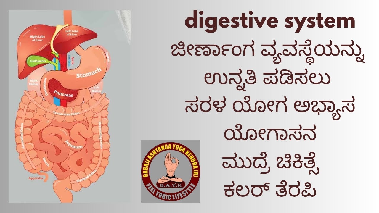 #yogastarmanigp #digestiveproblems #ಮುದ್ರೆಚಿಕಿತ್ಸೆ #ಬಣ್ಣದಚಿಕಿತ್ಸೆ#yogasana #basavaacuacademy 