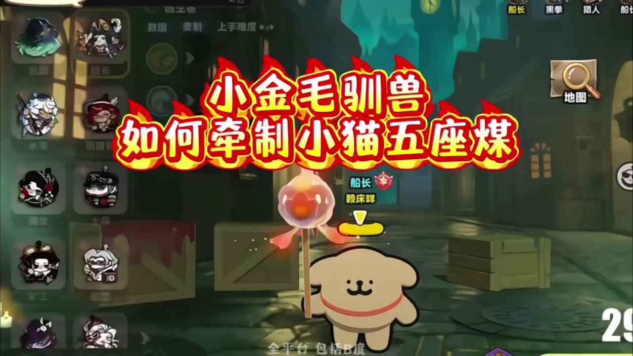 逃出小金毛驯兽师❗️如何牵制小猫五座煤⁉️。