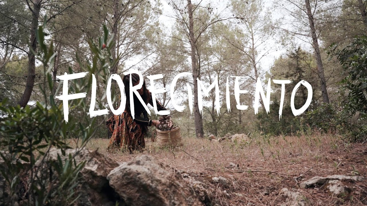 Chambao - Florecimiento (Videoclip Oficial)