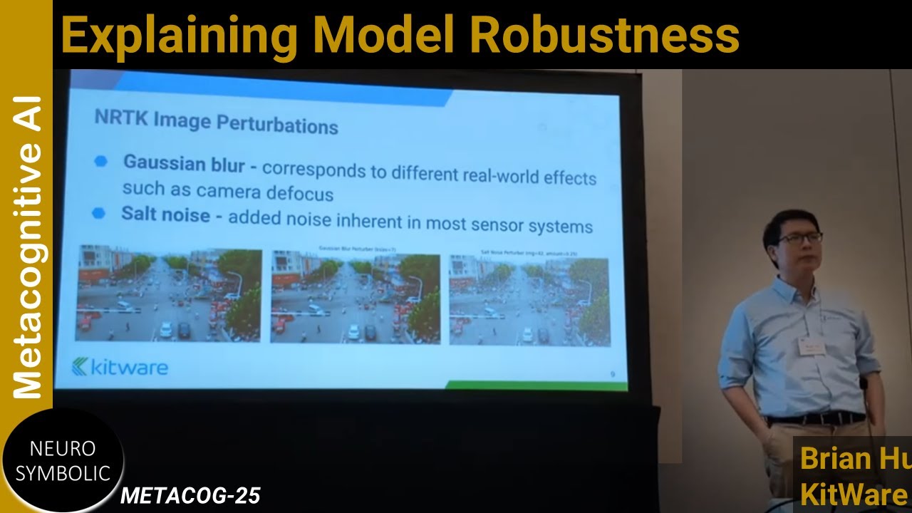Explaining model robustness (METACOG-25)