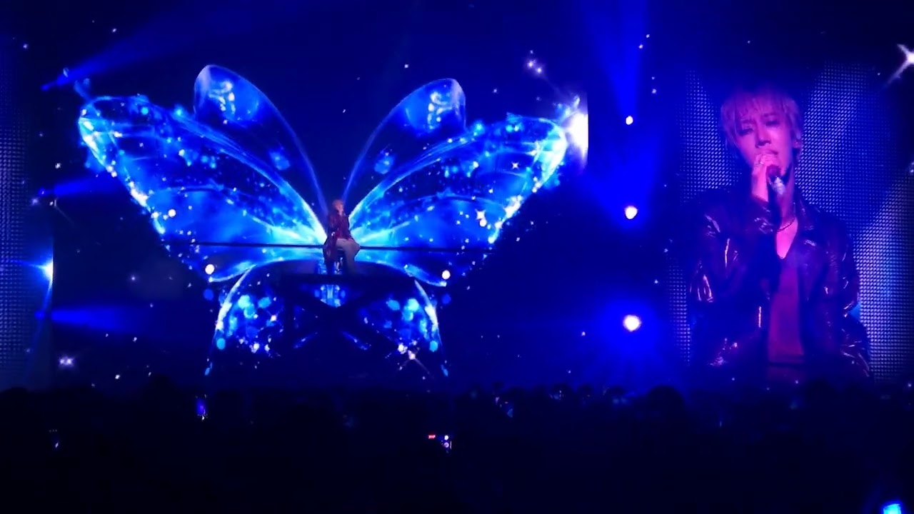Butterfly | TEN CONCERT 1001 MOVEMENT : STUNNER IN SEOUL DAY1 250412