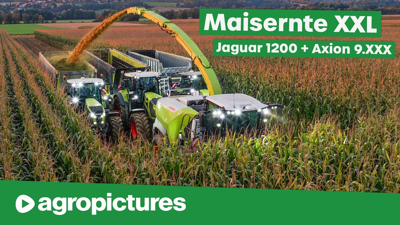 Maisernte XXL mit Claas Jaguar 1200 und Agritechnica Neuheit Axion 9 | Neue Häcksler und Traktoren