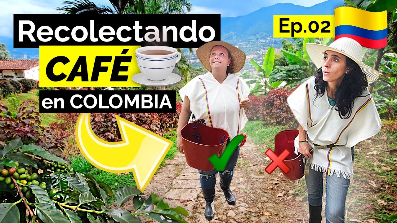 Así es una FINCA CAFETERA en MEDELLÍN, COLOMBIA ☕ | TOUR de CAFÉ