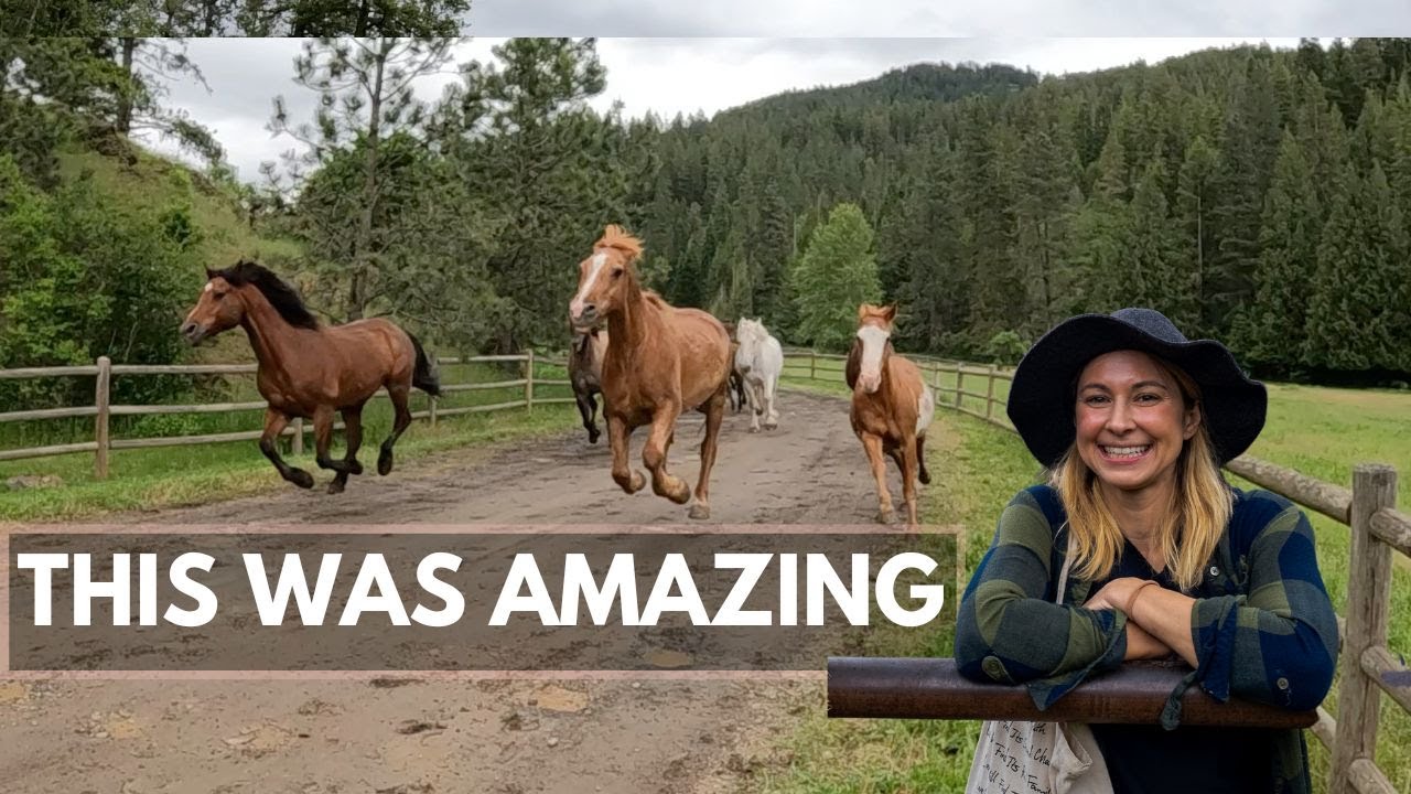 Why You Should Visit This Small Town in Idaho - Dude Ranch, Ziplines, Biking & More