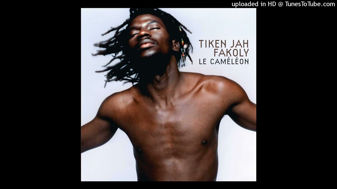 Tiken Jah Fakoly - 09 - Politiciens