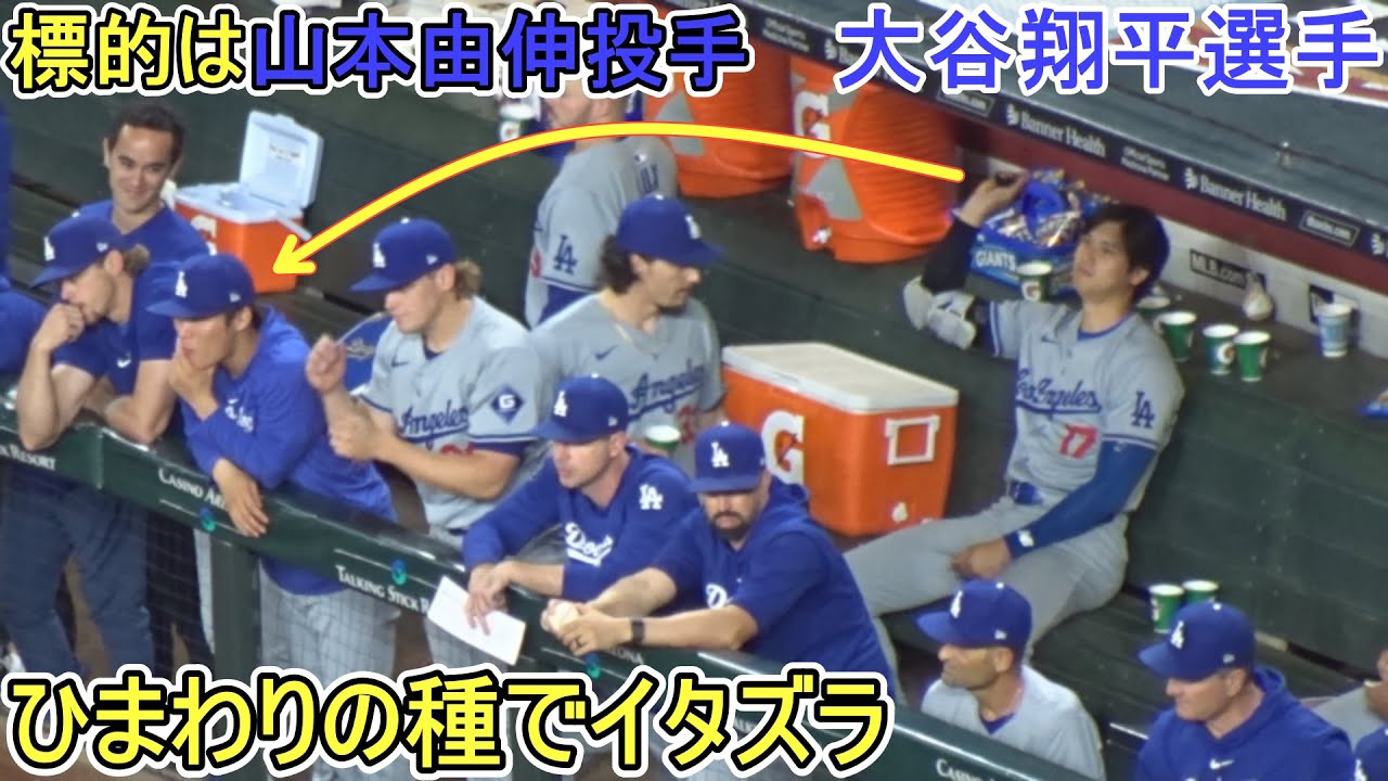 山本由伸投手にひまわりの種を連投でイタズラ【大谷翔平選手】～シリーズ２戦目～Shohei Ohtani vs DBucks 2024