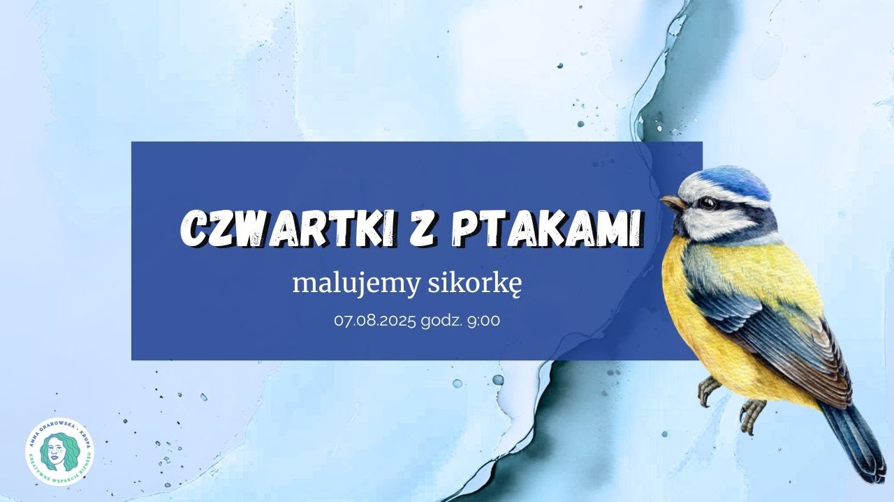 Sierpniowe czwartki z ptakami - Sikorka Modraszka