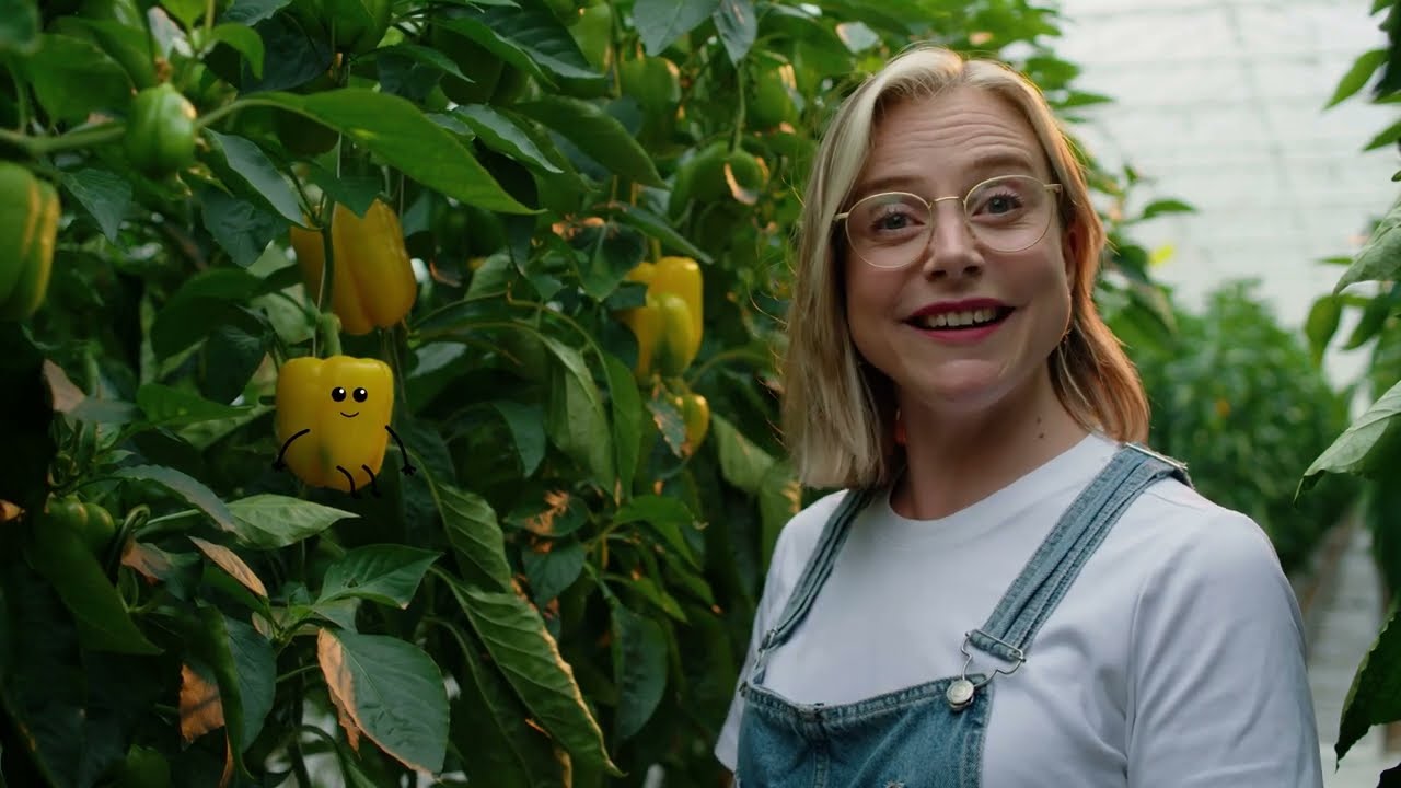 Twence CO2 Afvanginstallatie