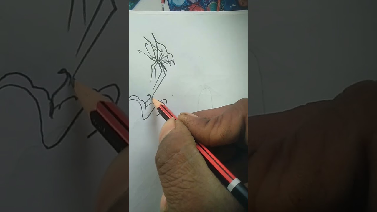 The butterfly art