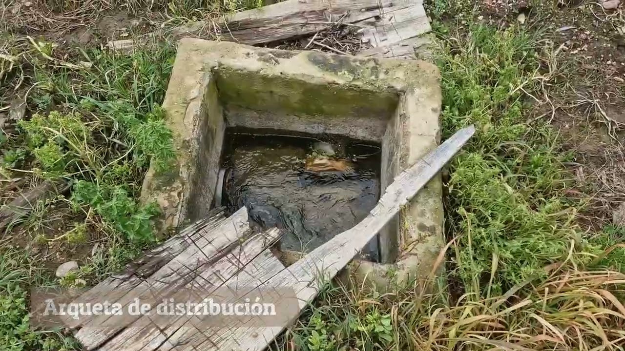 Fuente de San Francisco (Guadalcanal)