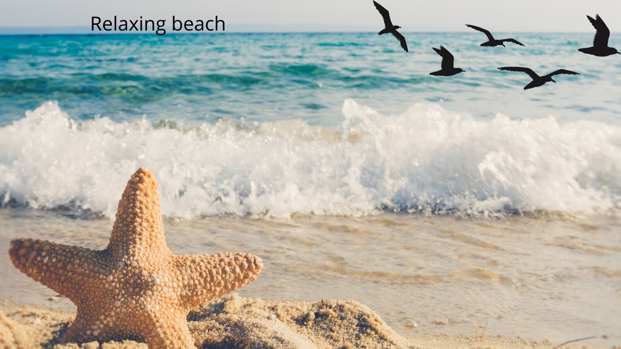 Beach Sea Clip | Meditation |Relaxing
