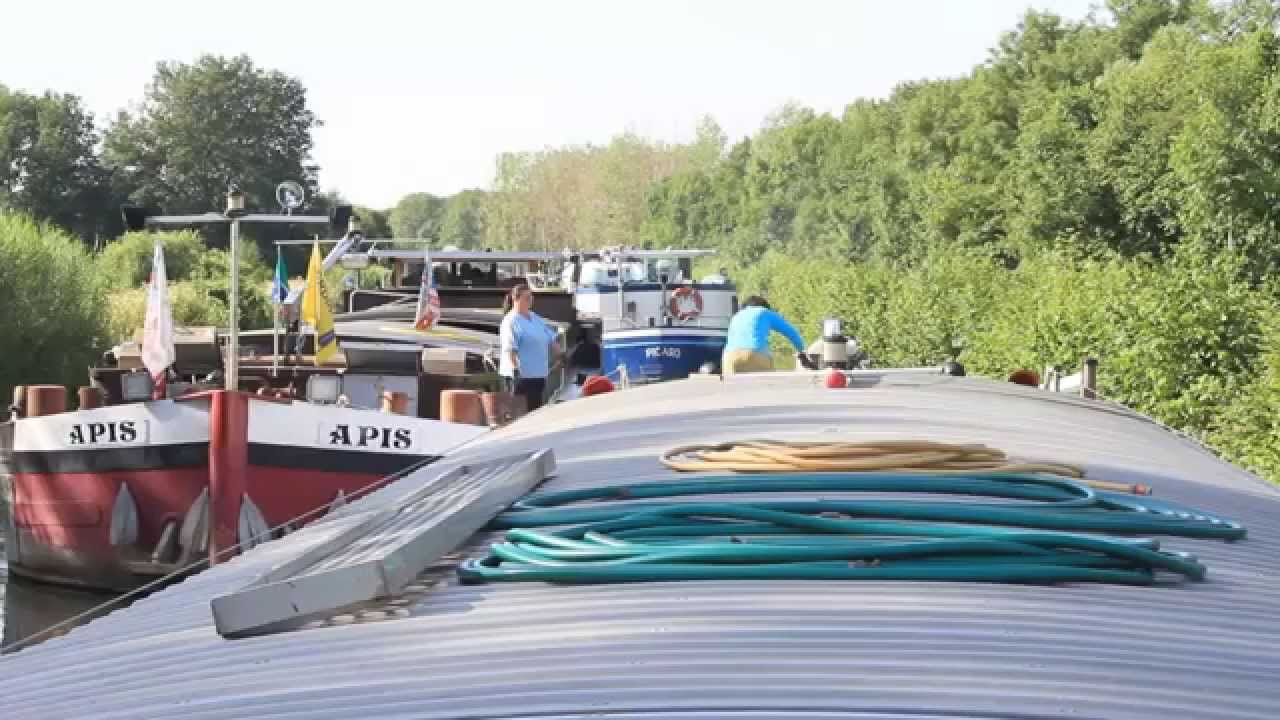 vnf 21 jaar