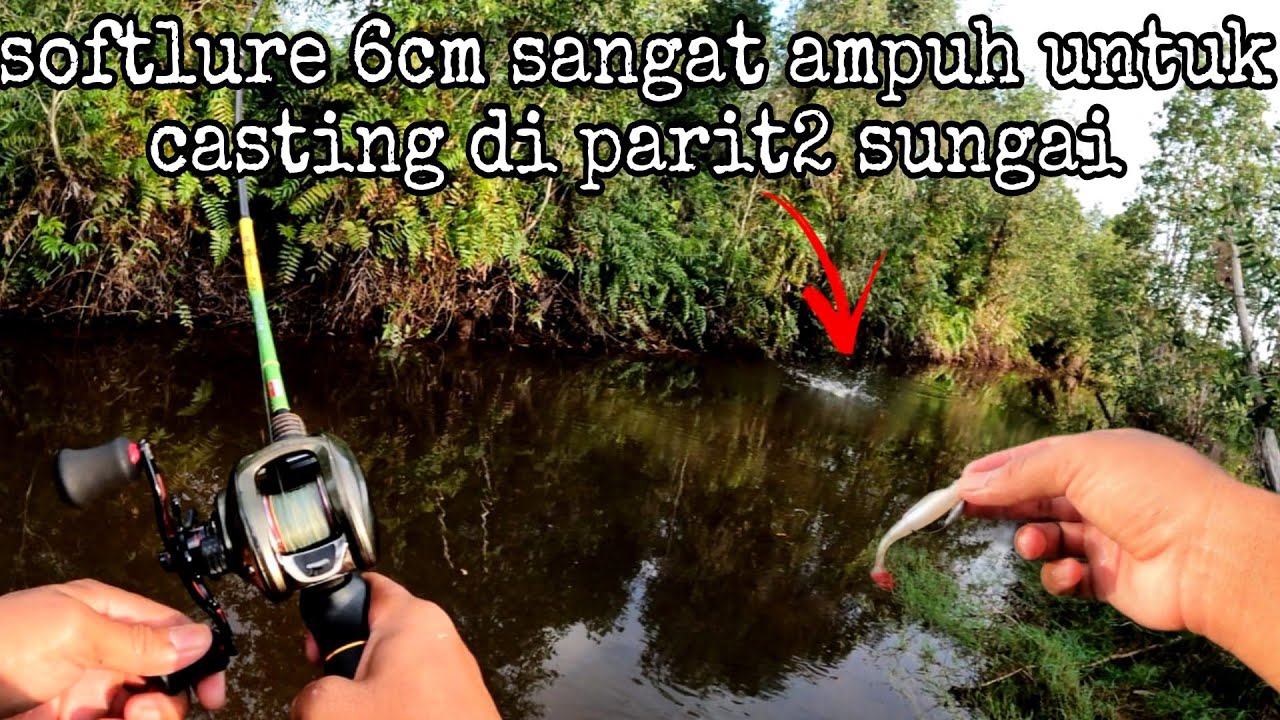 CASTING HARUAN DI PARIT2 SUNGAI SANGAT AMPUH MENGGUNAKAN UMPAN SOFTLURE 6CM  🔥🔥🔥 || SNAKE HEAD