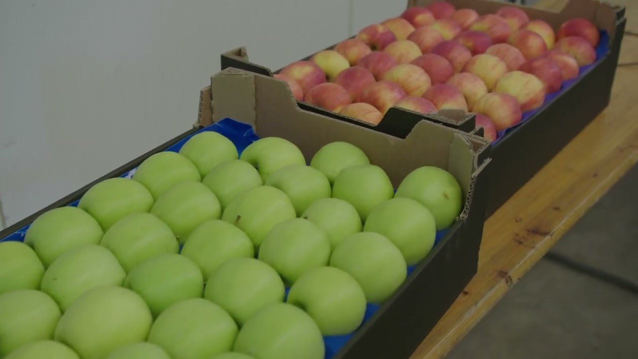 Csorvási Helyi Értéktár - Hunapfel Mezőgazdasági Kft