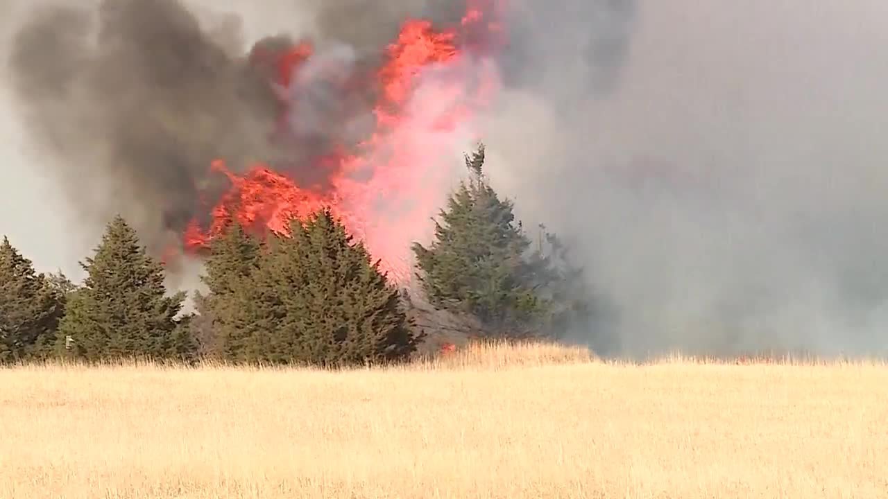 WATCH: Cedars fuel grass fire south of Cedar Valley, causing heavy flames and smoke