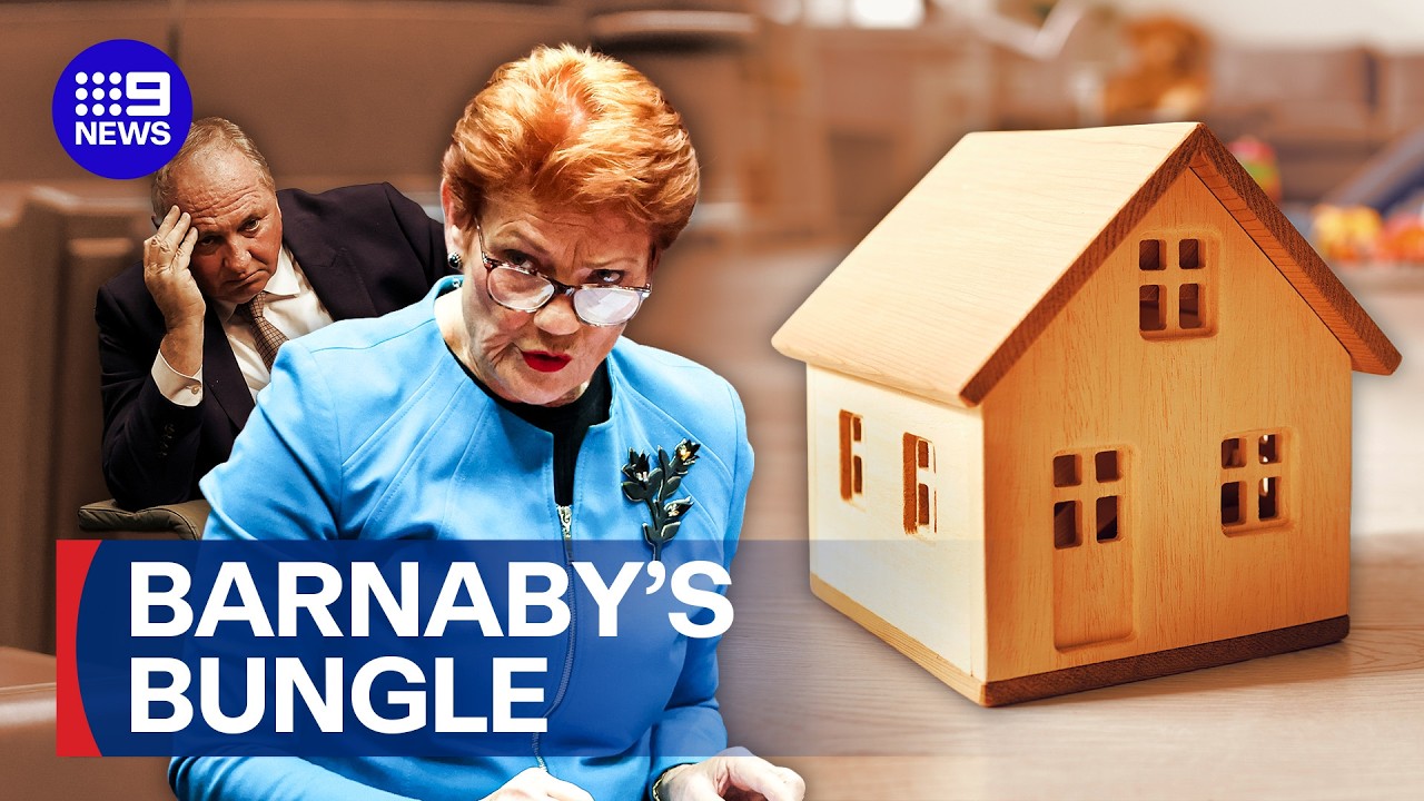 Is there trouble within the One Nation ranks? | 9 News Australia