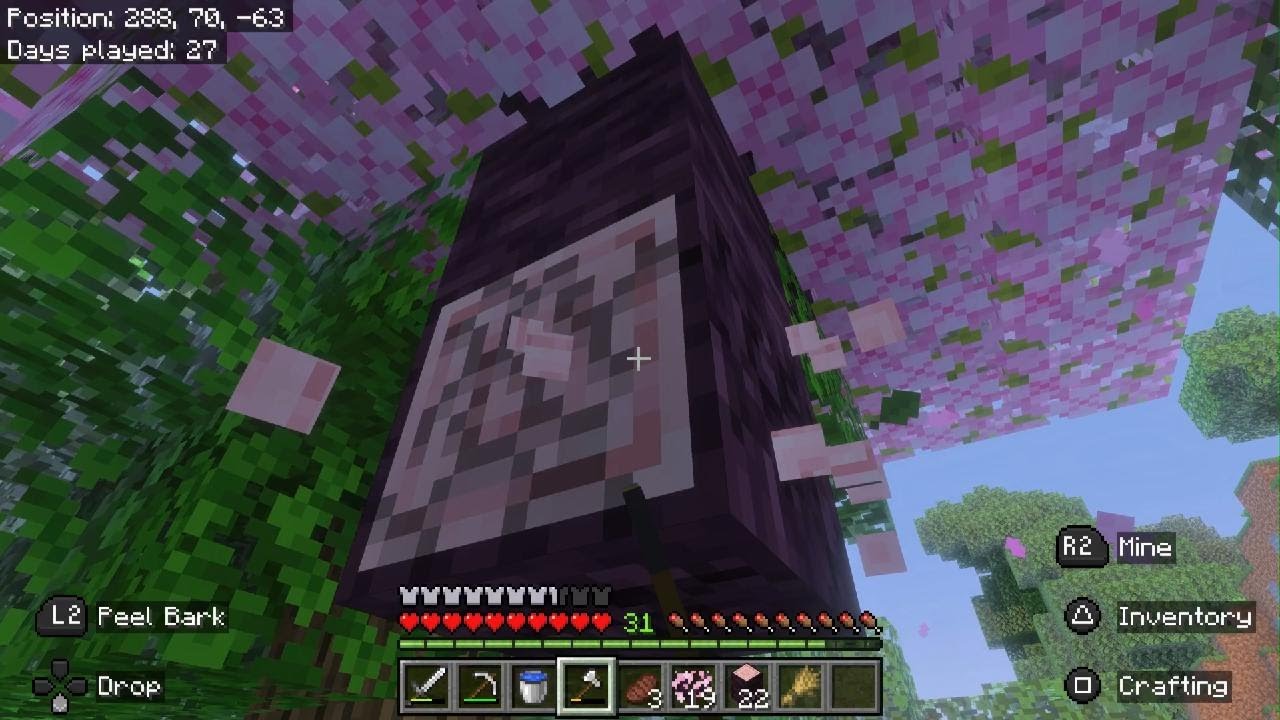 Minecraft_20260312191820