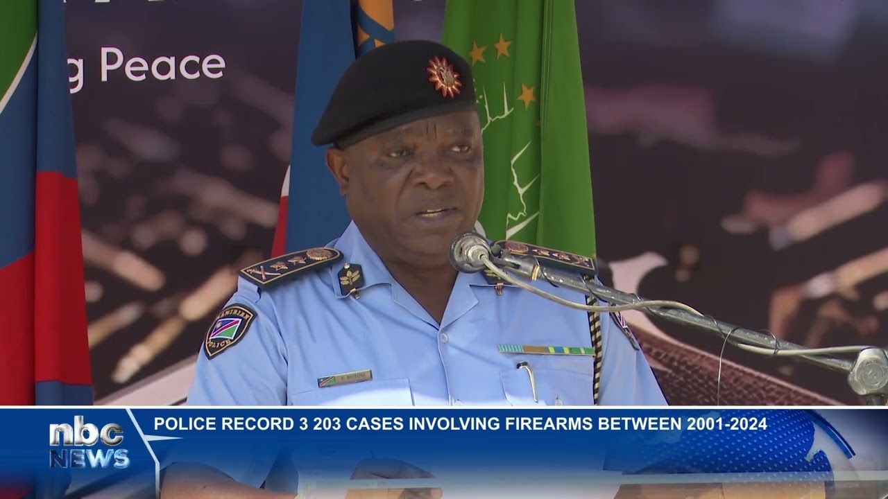NamPol record 3,203 firearm cases since 2021 - nbc